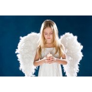 Angel Angel