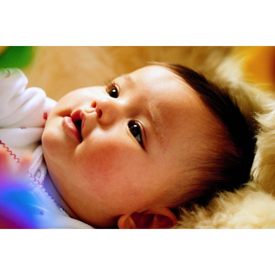 Oshi- Cute Baby 3