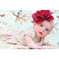 Cute Little Girl Cute Little Girl
