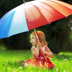 Umbrella Girl Umbrella Girl