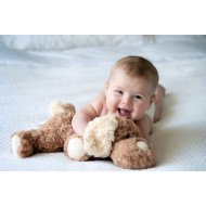 Cute Little Boy Playing With Teddy Cute Little Boy Playing With Teddy