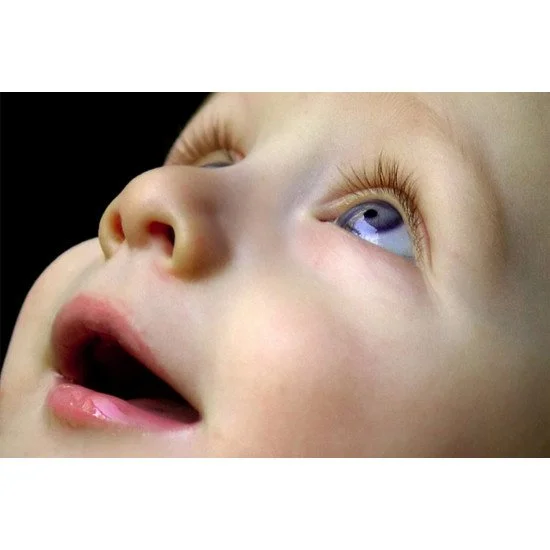 Cute Baby Cute Baby