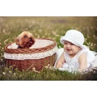 Child's Love - Cute Baby With A Puppy