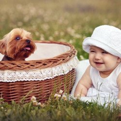 Child's Love - Cute Baby With A Puppy Child's Love - Cute Baby With A Puppy