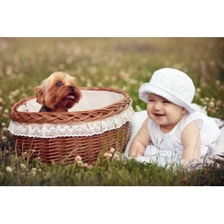 Child's Love Cute Baby With A Puppy