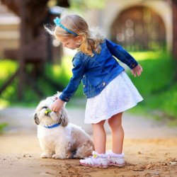 Child's Love - Cute Little Girl Playing With Puppy Child's Love - Cute Little Girl Playing With Puppy
