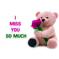 I Miss You So Much