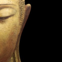 Gautama Buddha Fine Art 3