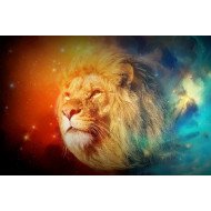 Lion Galaxy Lion Galaxy