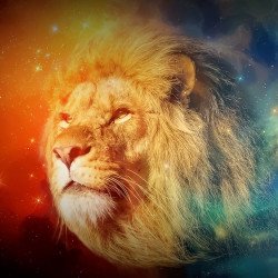 Lion Galaxy Lion Galaxy