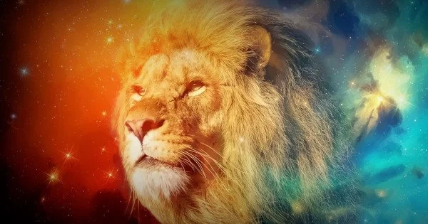 Lion Galaxy