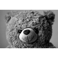 Teddy Bear Teddy Bear