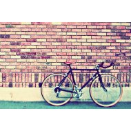 Vintage Bicycle Vintage Bicycle