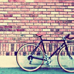 Vintage Bicycle Vintage Bicycle