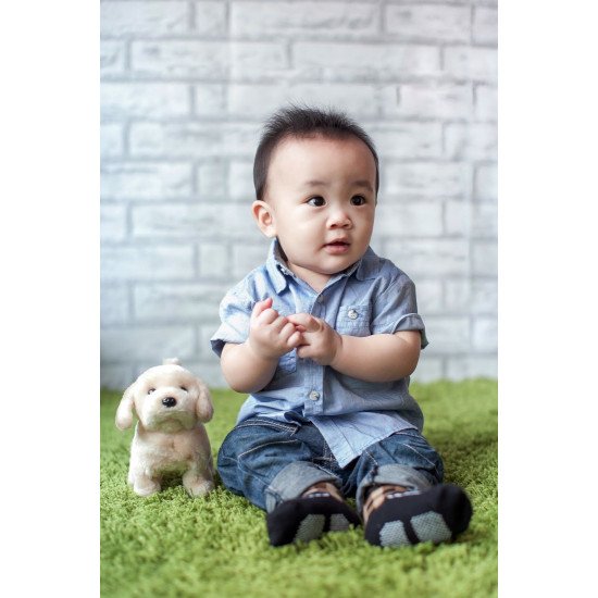 Child's Love - Cute Baby With His Toy