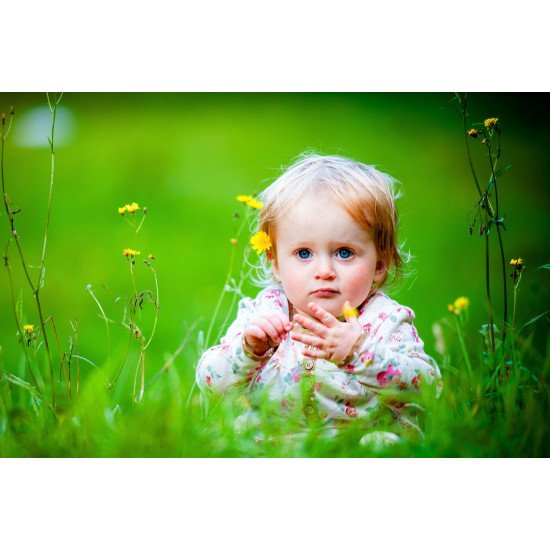 Child's Love - Cute Baby In The Garden 2