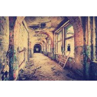 Vintage Palace Vintage Palace
