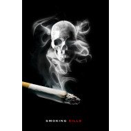 Smoking Kills 2 Smoking Kills 2