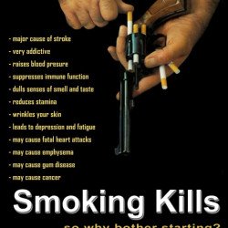 Smoking Kills…So Why Bother Starting? Smoking Kills…So Why Bother Starting?