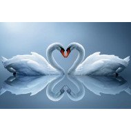 Heartly Love Heartly Love