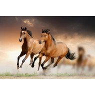 Running Horses