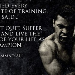 Motivational Quote 11 Motivational Quote 11