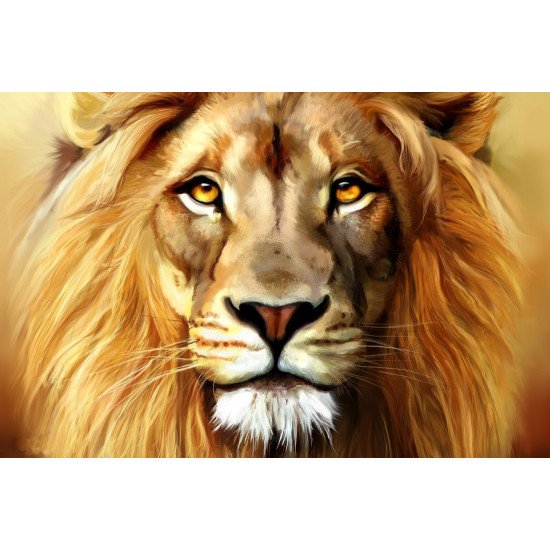 Lion Fine Art