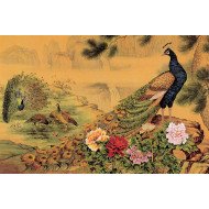 Peacock Fine Art Peacock Fine Art