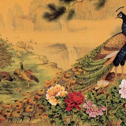 Peacock Fine Art Peacock Fine Art