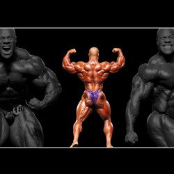 Phil Heath Gym Phil Heath Gym
