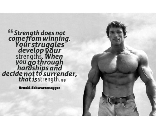 Arnold Schwarzenegger Motivational Quote 3