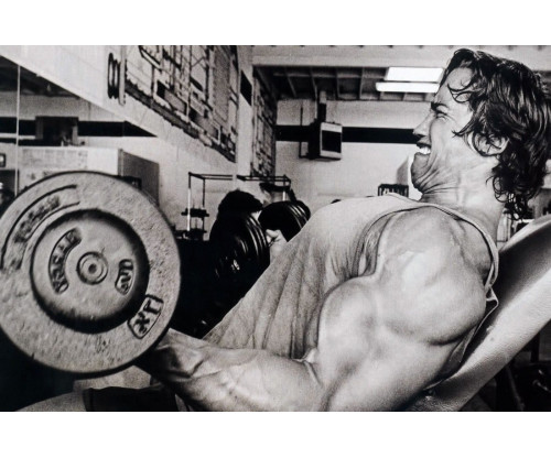 Arnold Schwarzenegger Intense Workout