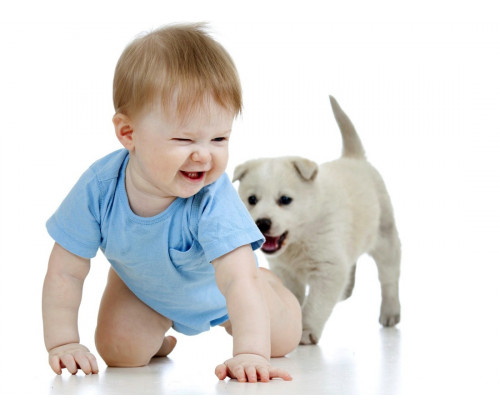 Child's Love - Cute Baby Playing With Puppy
