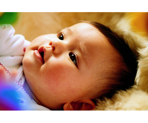 Oshi- Cute Baby 3