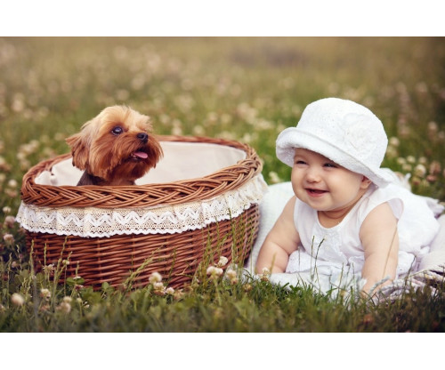 Child's Love - Cute Baby With A Puppy