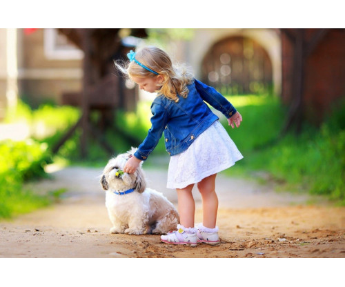Child's Love - Cute Little Girl Playing With Puppy