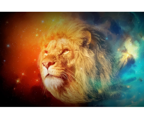 Lion Galaxy