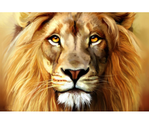 Lion Fine Art
