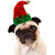 Pug With Hat