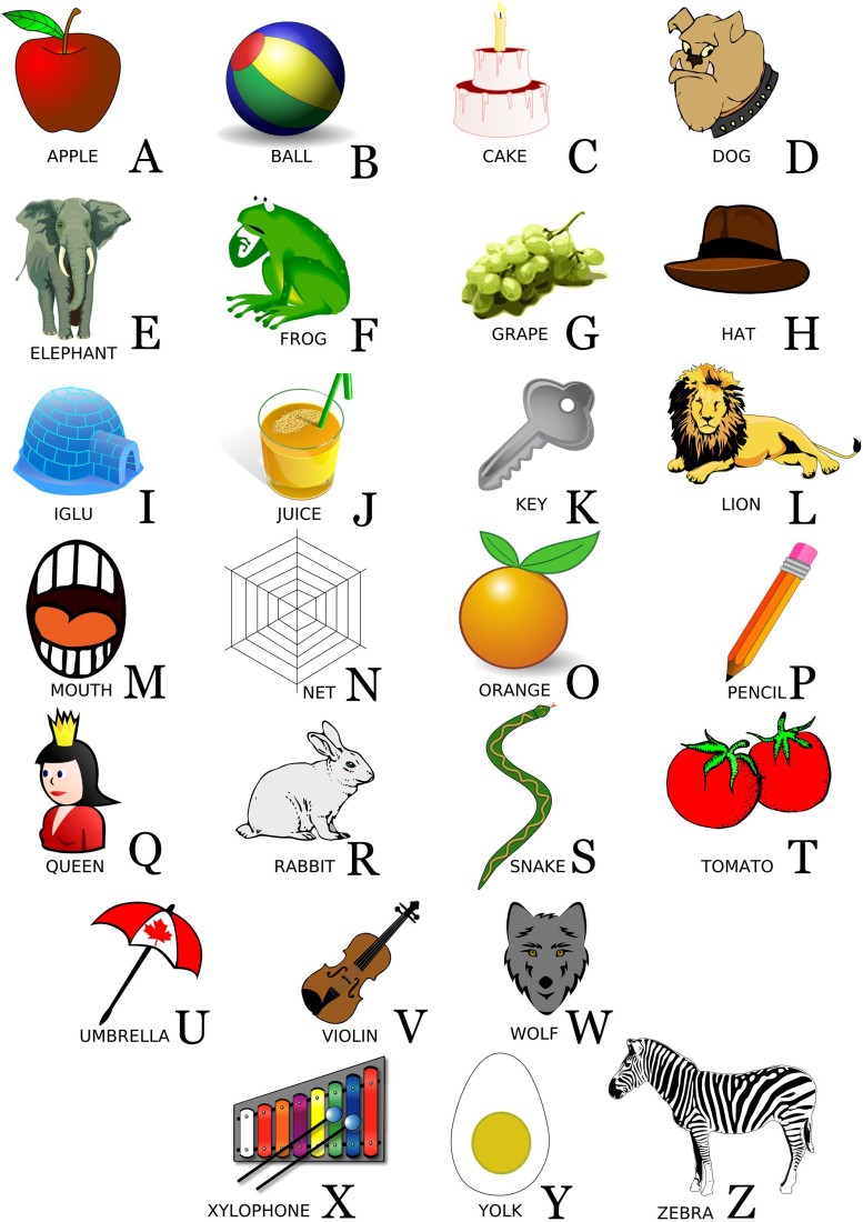 Alphabets Chart With Examples - Educational | OshiPrint.in