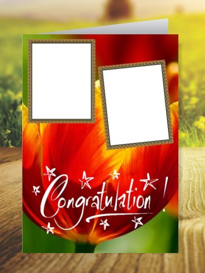 Congratulations Greeting Cards ID - 3530