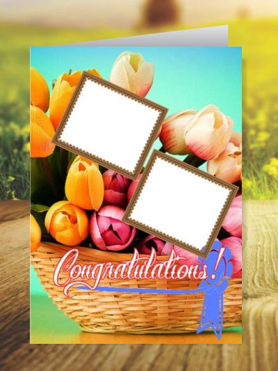 Congratulations Greeting Cards ID - 3531