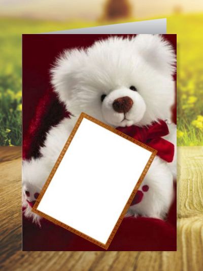 Sorry Greeting Cards ID 3537 Sorry Greeting Cards Get